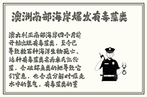 曹县翰林院视频在线播放
